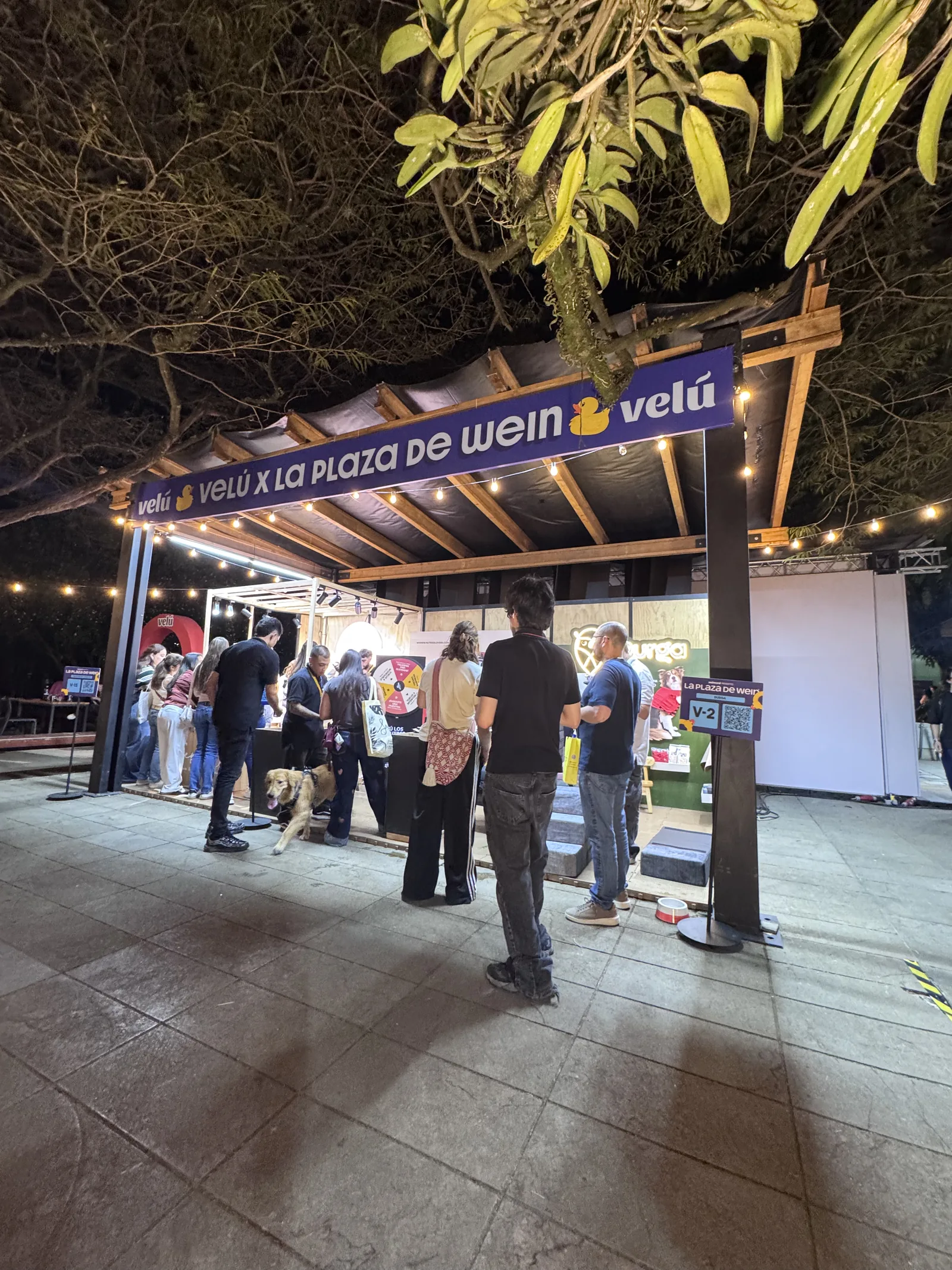 Entrada a la Plaza de Wein bajo pérgola de madera, de noche